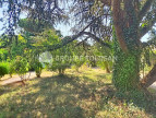 vente Maison Montlaur