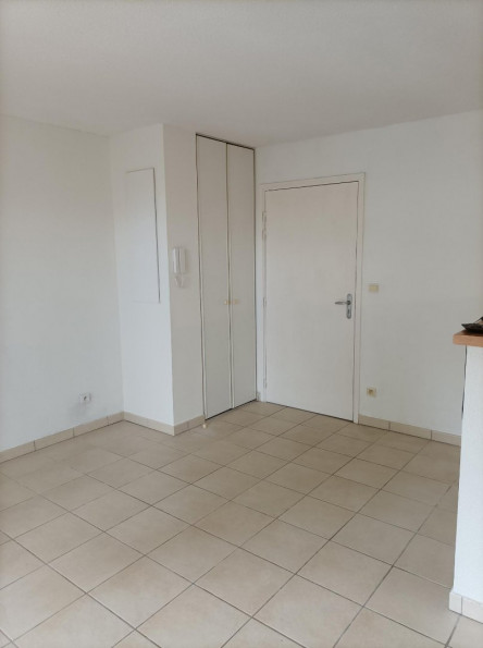 location Appartement Gagnac-sur-garonne - Photo 1