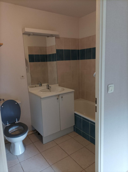 location Appartement Gagnac-sur-garonne - Photo 4