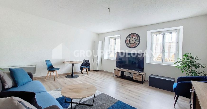 vente Immeuble Muret