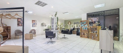 vente Immeuble Muret