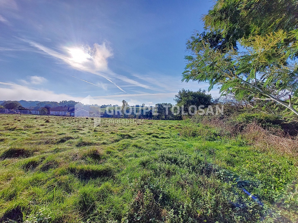 vente Terrain Rieumes - Photo 1