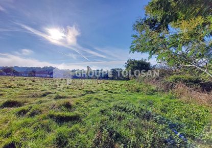 vente Terrain Rieumes