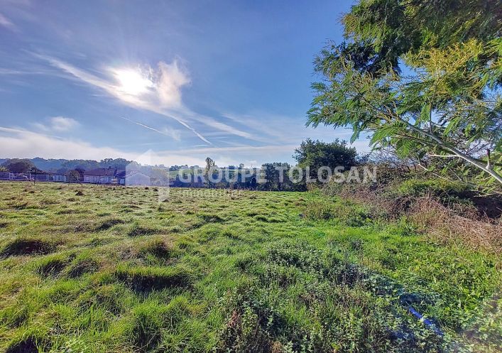 vente Terrain Rieumes