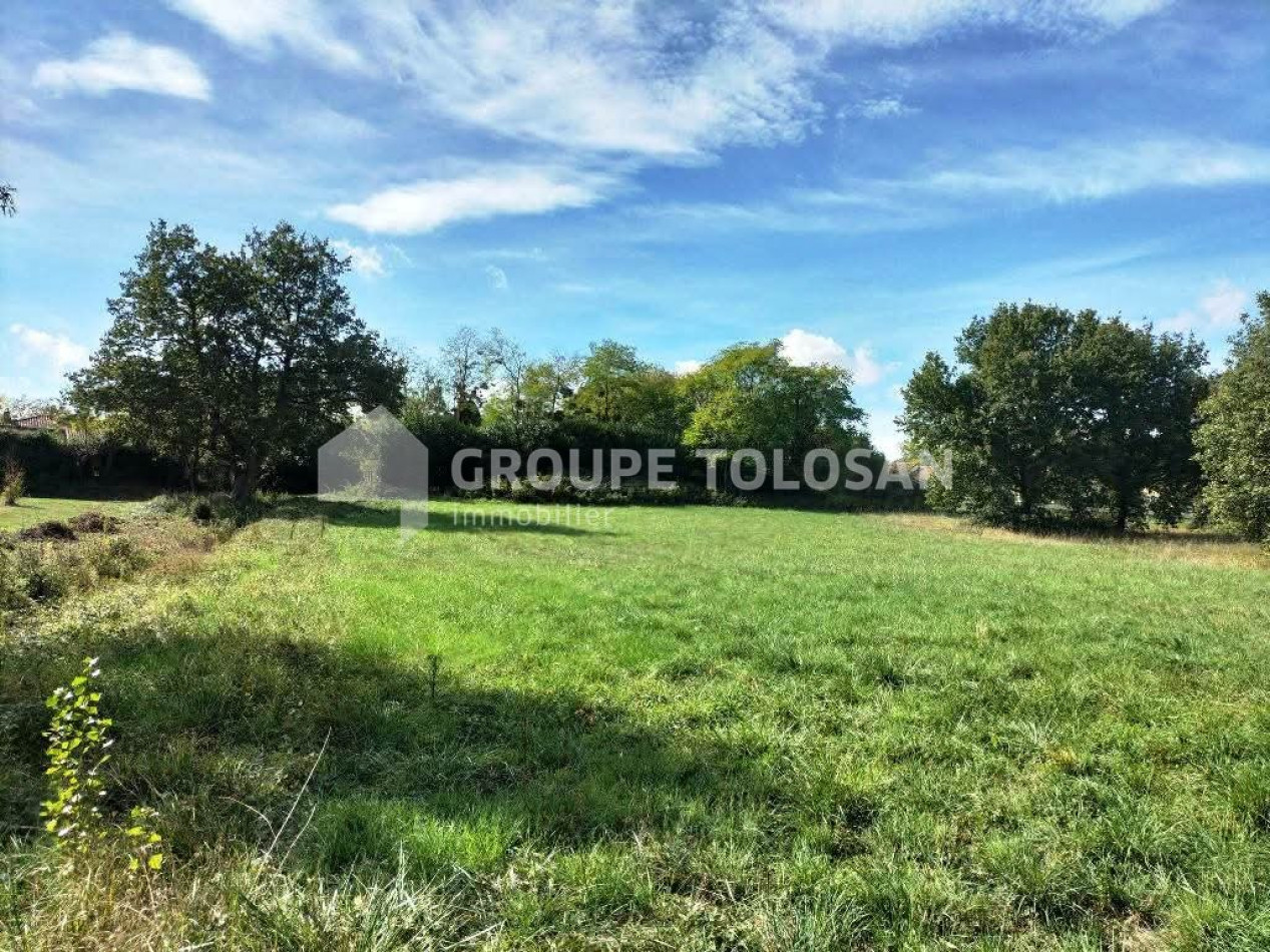 vente Terrain Forgues - Photo 2