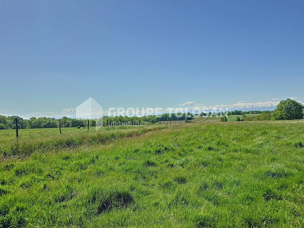 vente Maison Longages - Photo 5