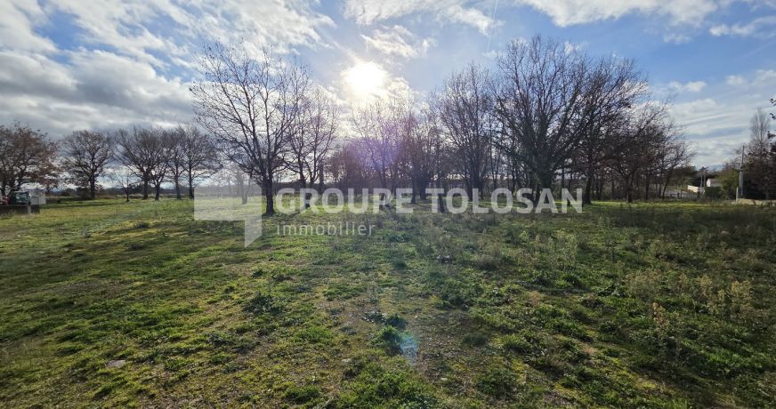 vente Terrain artisanal Muret