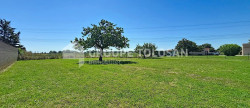 vente Terrain Berat