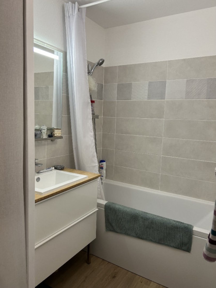 location Appartement en rez de jardin Fonsorbes - Photo 6