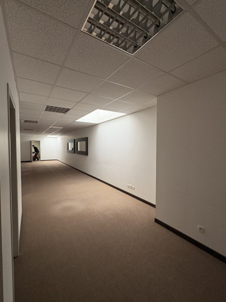 location Bureau Saint-alban - Photo 3
