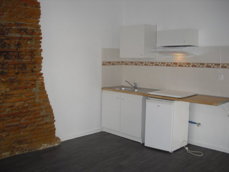 location Appartement Toulouse - Photo 1