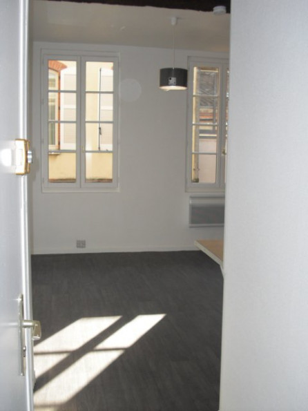 location Appartement Toulouse - Photo 7