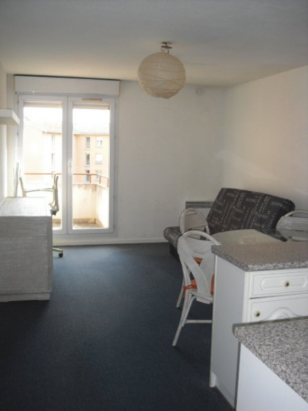 location Appartement Toulouse - Photo 1