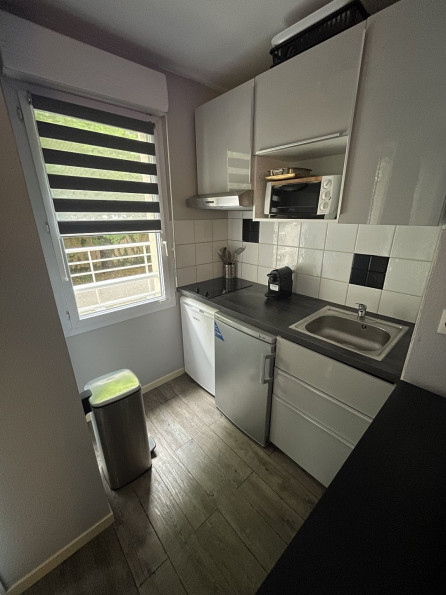 location Appartement Toulouse - Photo 4