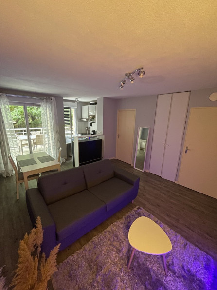 location Appartement Toulouse - Photo 6