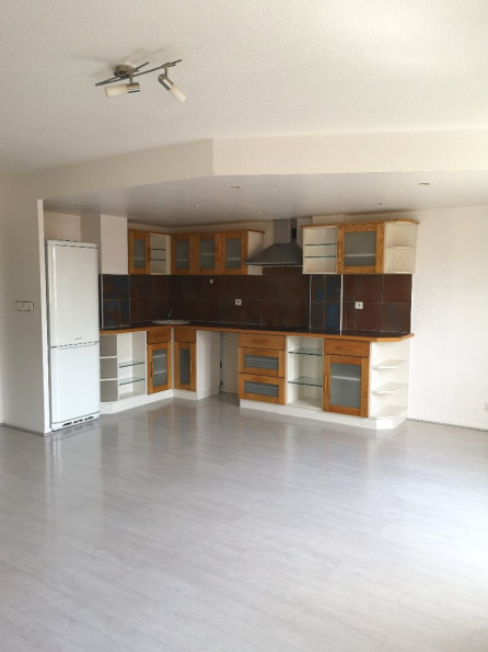 location Appartement Toulouse - Photo 1