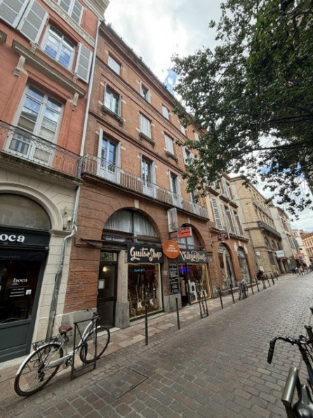 location Appartement Toulouse - Photo 1