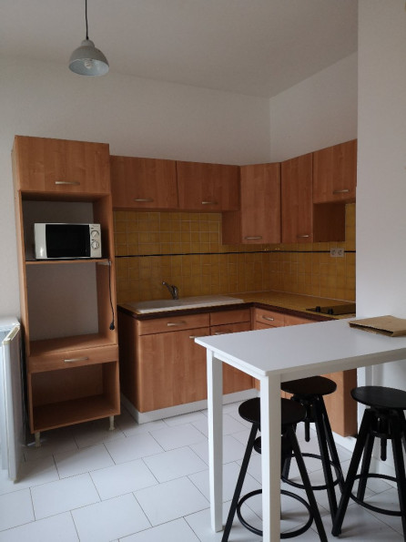 location Appartement Toulouse - Photo 3