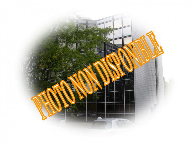 location Bureau Toulouse - Photo 3