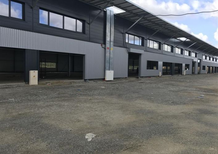 location Entrepot Plaisance Du Touch