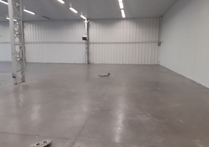 location Local commercial Fenouillet