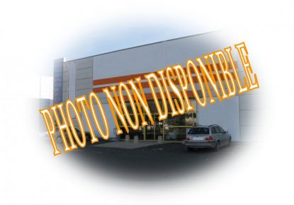 location Local commercial Launaguet