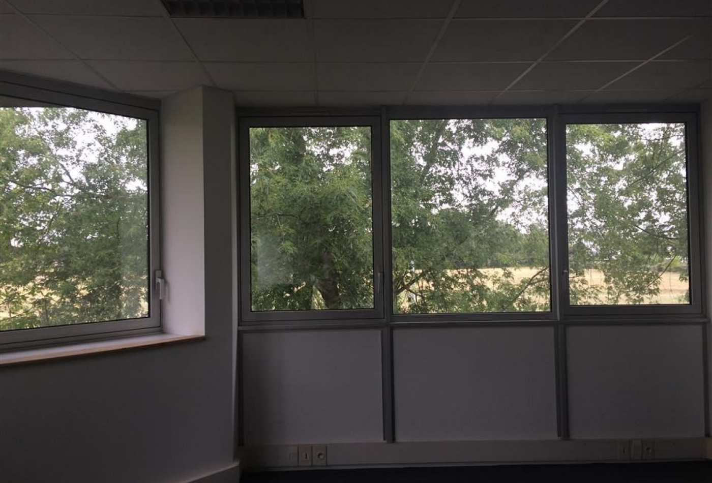 location Bureau Labege - Photo 3