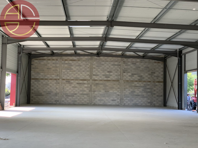 location Entrepot Saint Jory - Photo 9