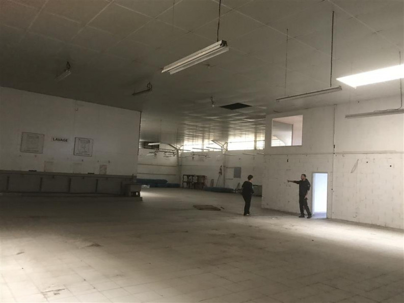 location Local commercial Toulouse - Photo 3