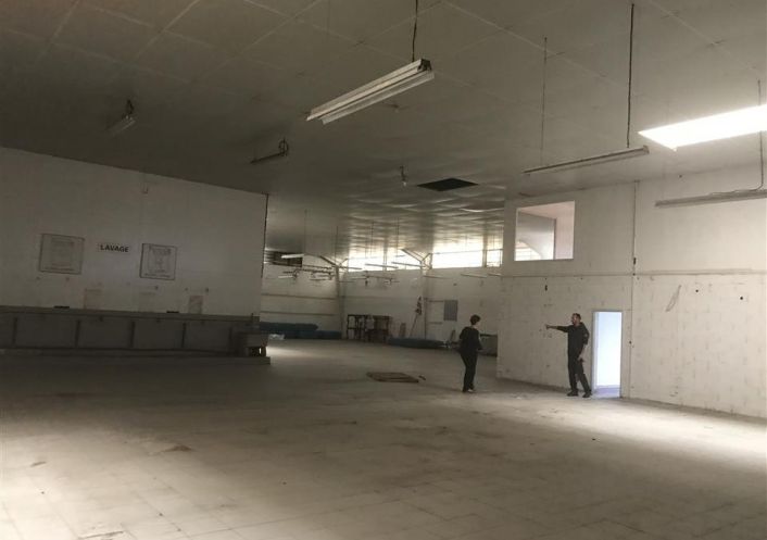 location Local commercial Toulouse