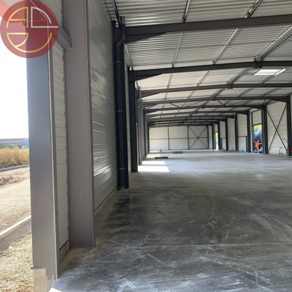 location Entrepot Saint Jory - Photo 1