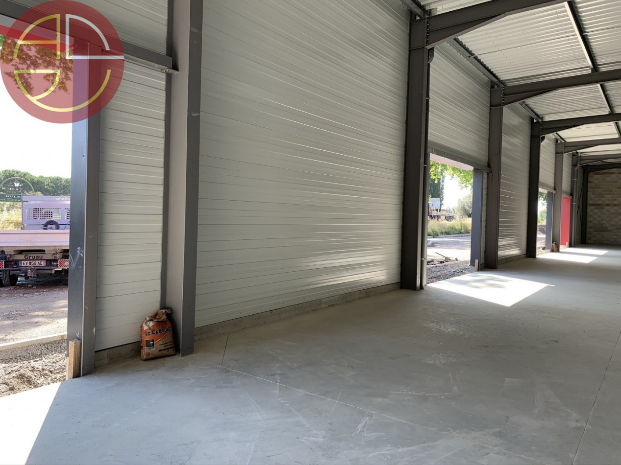 location Entrepot Saint Jory - Photo 3