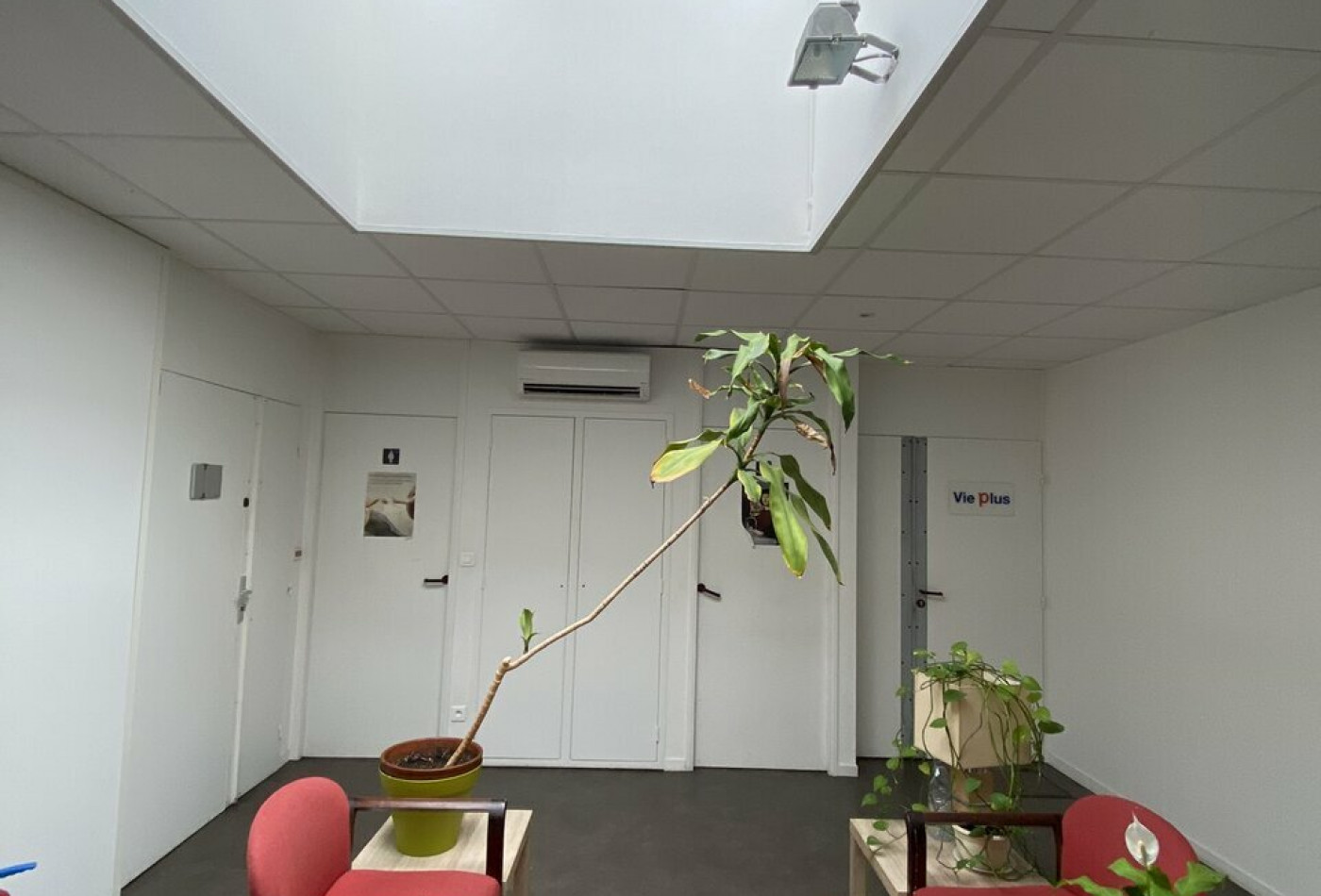 location Bureau Labege - Photo 10