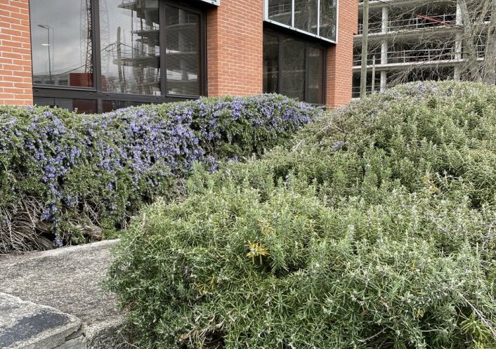 location Bureau Labege