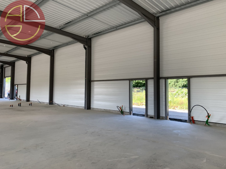 location Entrepot Saint Jory - Photo 4