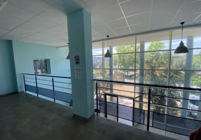 vente Entrepot Cugnaux