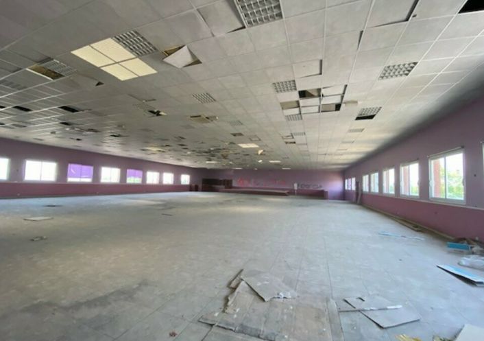 vente Entrepot Cugnaux