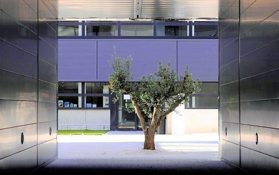 location Bureau Blagnac - Photo 4