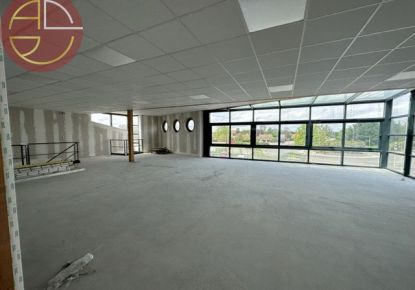 location Local commercial Saint-lys