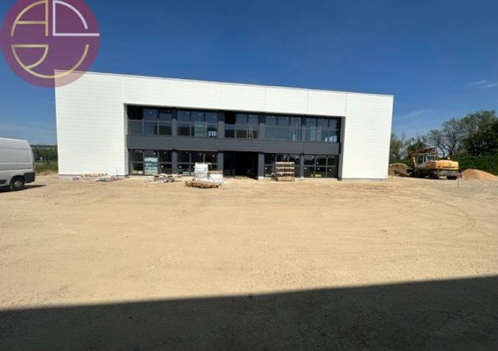 location Bureau Montauban