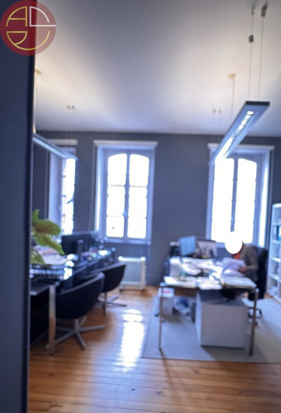 location Bureau Toulouse - Photo 6