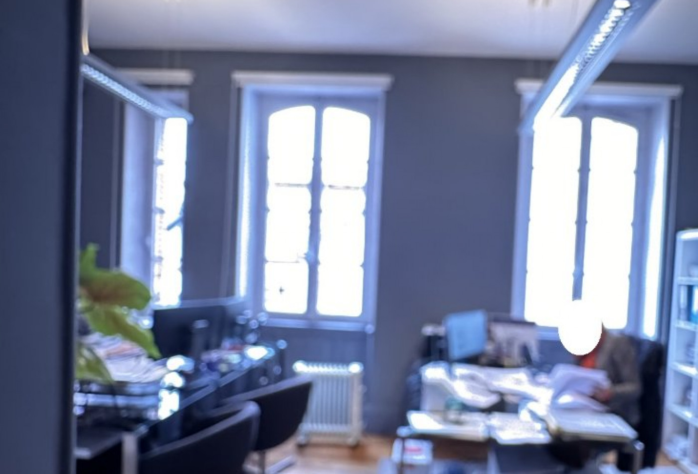 location Bureau Toulouse - Photo 6