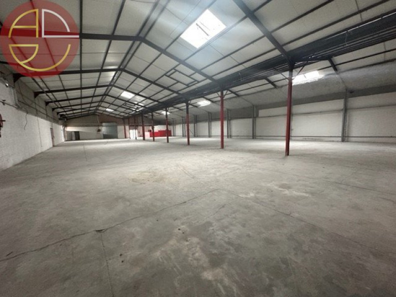 location Local commercial Portet-sur-garonne - Photo 1