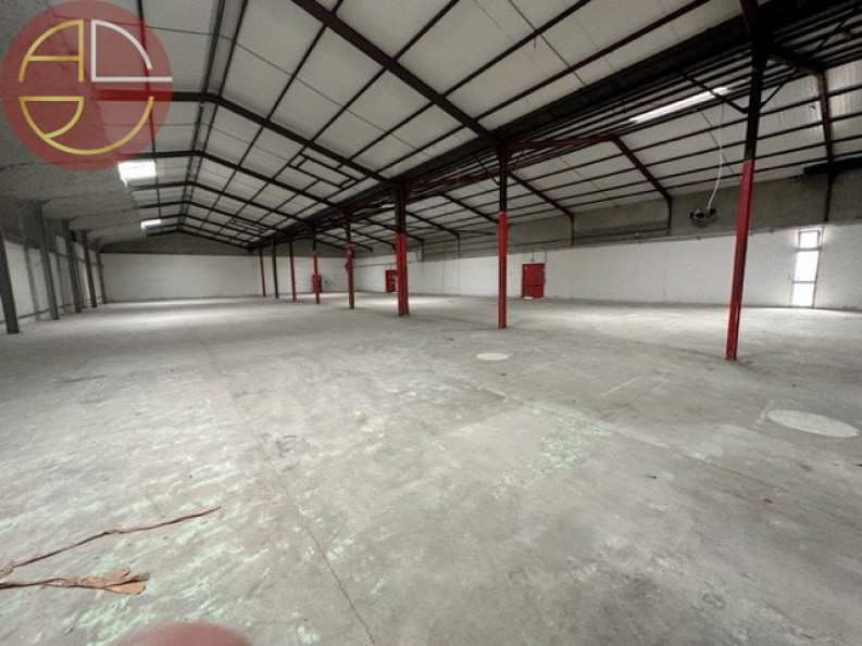 location Local commercial Portet-sur-garonne - Photo 2