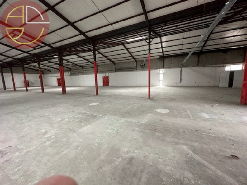 location Local commercial Portet-sur-garonne - Photo 3