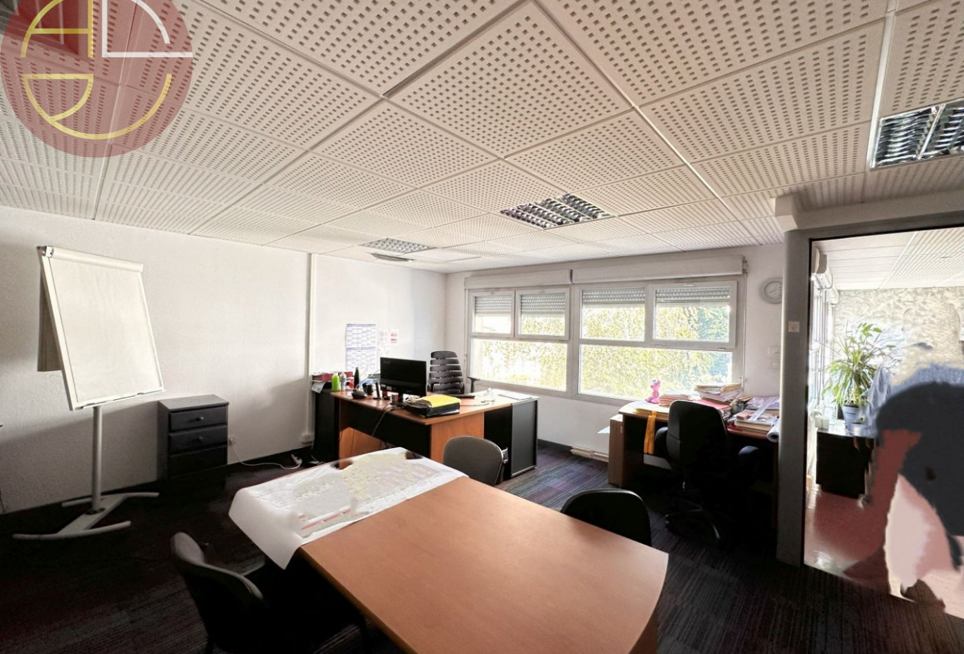 vente Bureau Toulouse - Photo 4