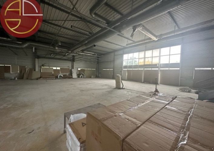 vente Entrepot Toulouse