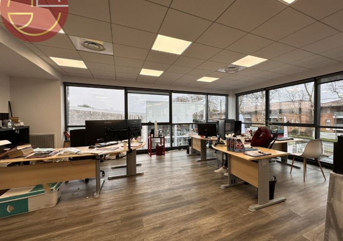 location Entrepot Tournefeuille