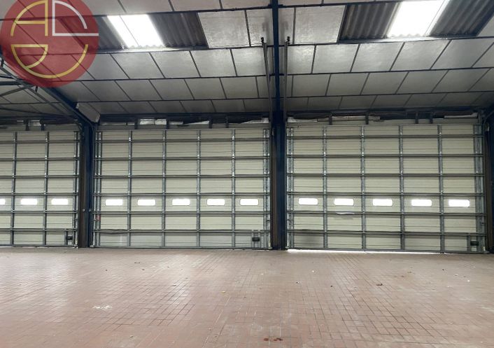 location Entrepot Muret