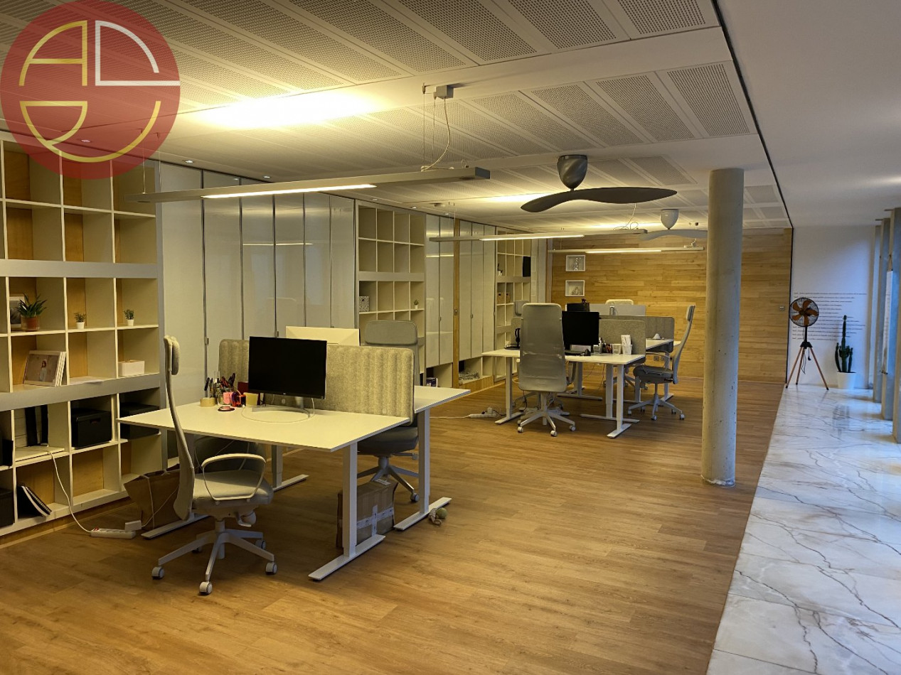 location Bureau Toulouse - Photo 5